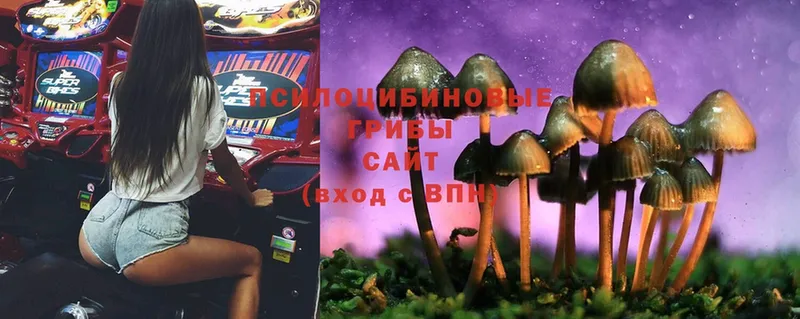 Галлюциногенные грибы Magic Shrooms  Коммунар 